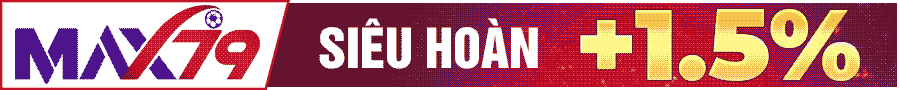 Banner MAX79