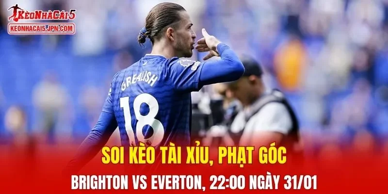 Trận đấu giữa Brighton và Everton đang hứa hẹn sẽ bùng nổ