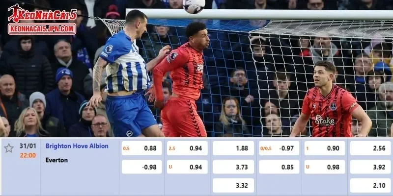 Tỷ lệ kèo chi tiết nhất cho trận đấu giữa Brighton vs Everton