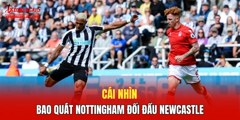 Cái nhìn bao quát Nottingham đối đầu Newcastle