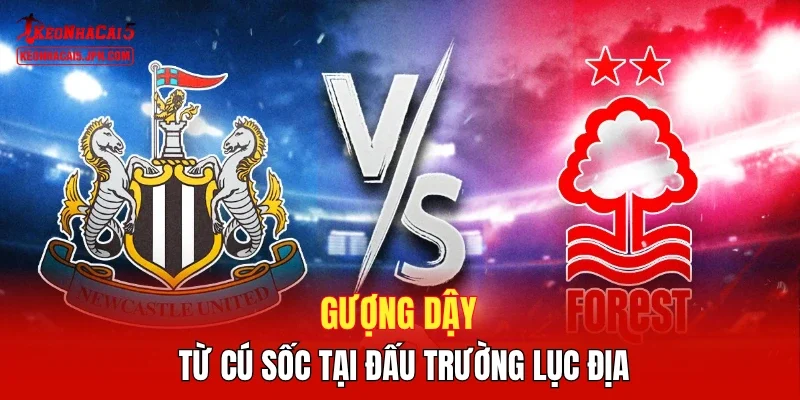 Gượng dậy từ cú sốc tại đấu trường lục địa