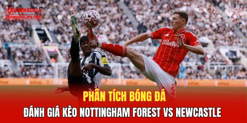 Phân tích bóng đá, đánh giá kèo Nottingham Forest vs Newcastle