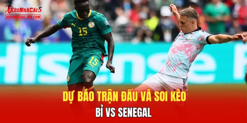 Dự báo trận đấu và soi kèo Bỉ vs Senegal 