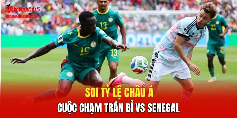 Soi tỷ lệ châu Á cuộc chạm trán Bỉ vs Senegal 