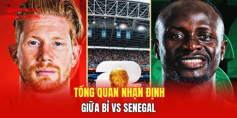 Tổng quan nhận định giữa Bỉ vs Senegal 