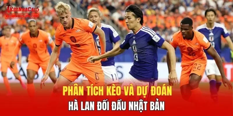 Phân tích kèo và dự đoán Hà Lan đối đầu Nhật Bản 